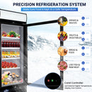 Commercial Refrigerator Merchandiser with Glass Door, 23Cu.Ft Display Refrigerator Upright Fridge Cooler with LED Lighting for Restaurant Kitchen