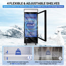 Commercial Refrigerator Merchandiser with Glass Door, 23Cu.Ft Display Refrigerator Upright Fridge Cooler with LED Lighting for Restaurant Kitchen