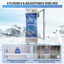 Commercial Display Refrigerator Merchandiser with 1 Glass Door - 23 Cu.Ft Upright Display Refrigerator with LED Lighting